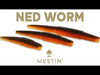 Westin Ned Worm product video