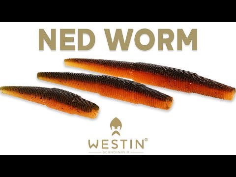 Westin Ned Worm product video