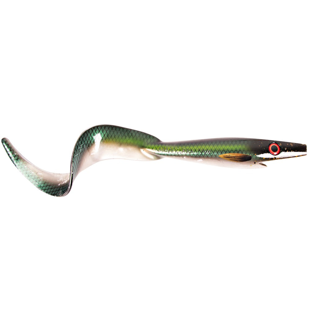 Strike Pro Giant Pig Tail 40cm in Gold Miner