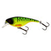 Westin BabyBite SR in Firetiger