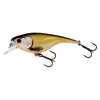 Westin BabyBite SR in Official Roach