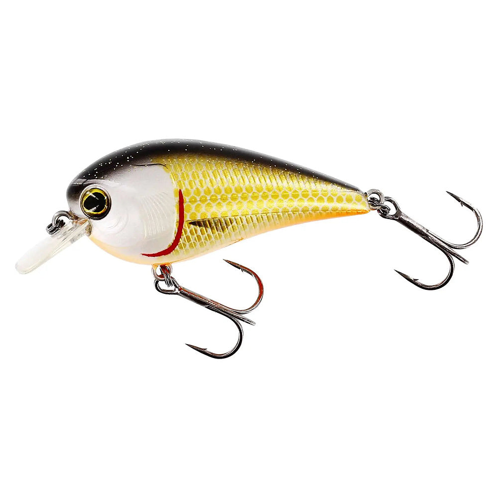 Westin BassBite Squarebill in Official Roach