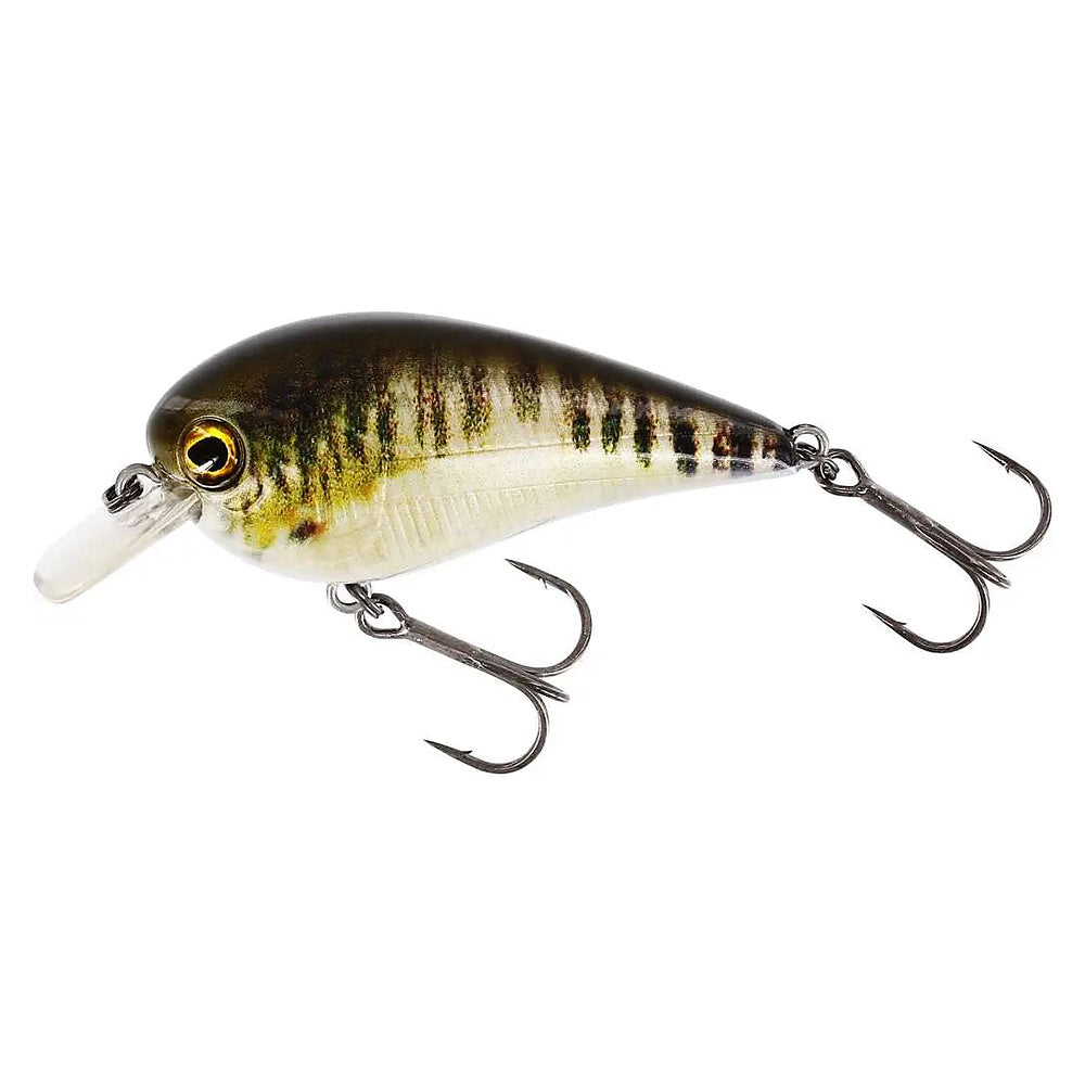 Westin BassBite Squarebill in Real Minnow