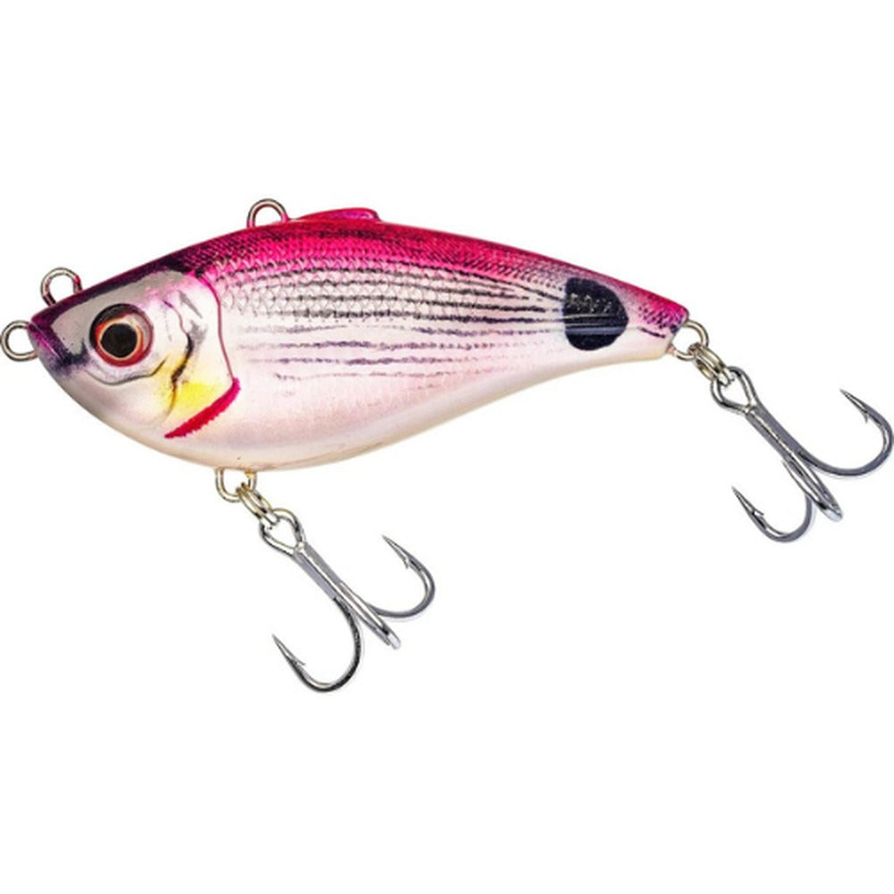 Westin Buzzvibe in Pink Saddled Bream