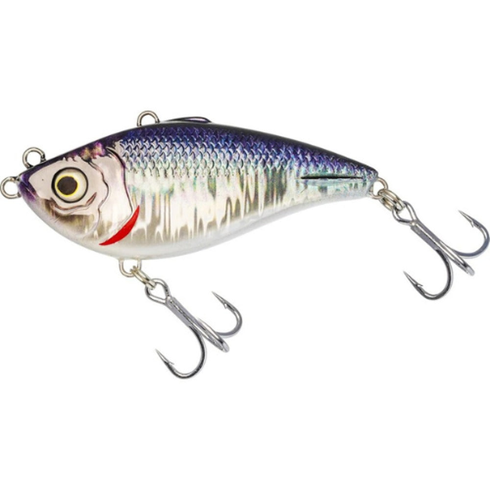 Westin Buzzvibe in Reefbait