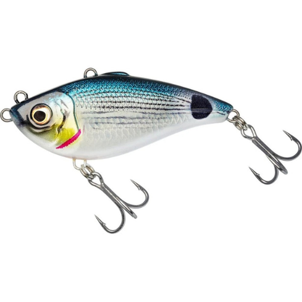 Westin Buzzvibe in Saddled Bream