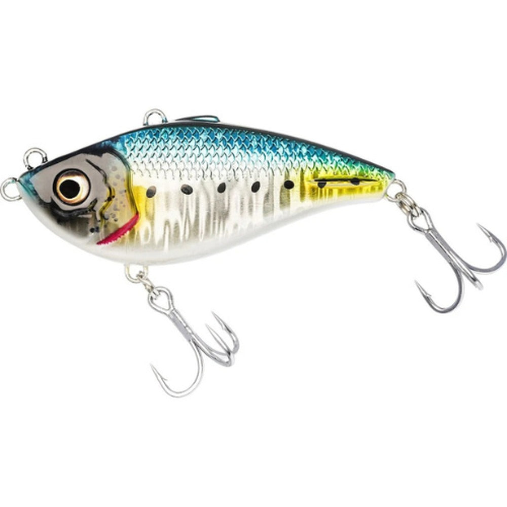 Westin Buzzvibe in Sardine