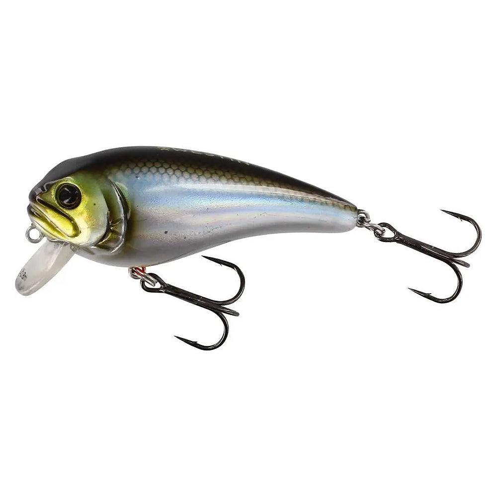 Westin FatBite Crankbait Blueback Herring
