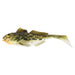 Westin Gunnar the Goby Black Mouth