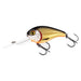 Westin MegaBite DR Crankbait Official Roach