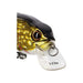 Westin RawBite Crankbait head detail