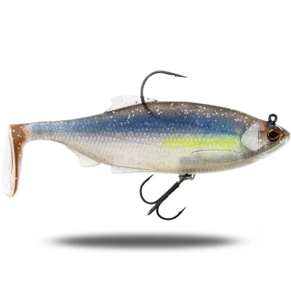 Westin Ricky the Roach Shadtail R2F rigged lure in Preyfish